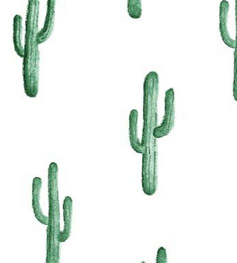 Small Desert Cactus Cacti Hd Phone Wallpaper Pxfuel