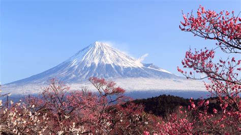 Mount Fuji Desktop Wallpapers Top Free Mount Fuji Desktop Backgrounds