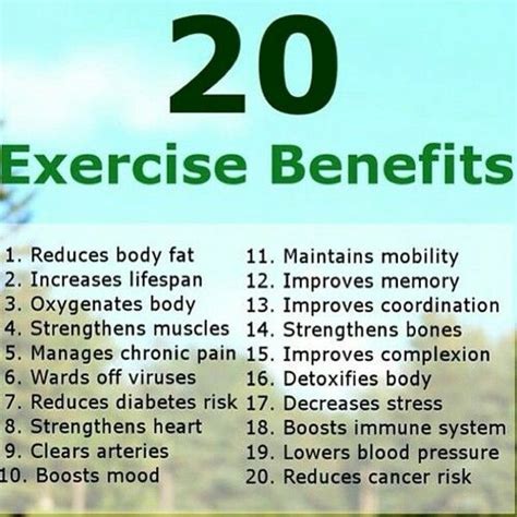 So Excerise C Benefits Of Exercise Detoxify Body Exercise