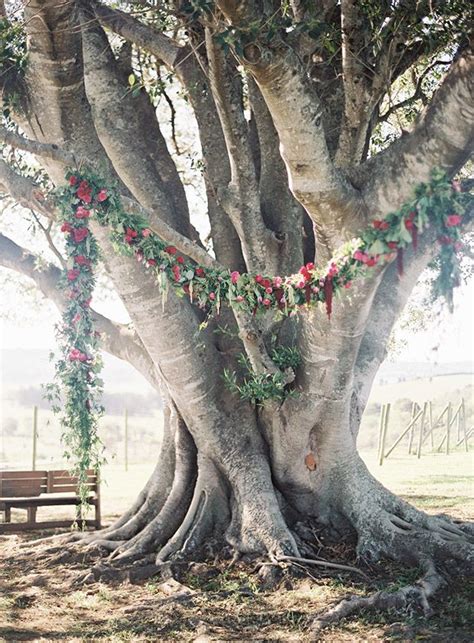 Under A Wedding Tree Outdoor Wedding Ceremony Location