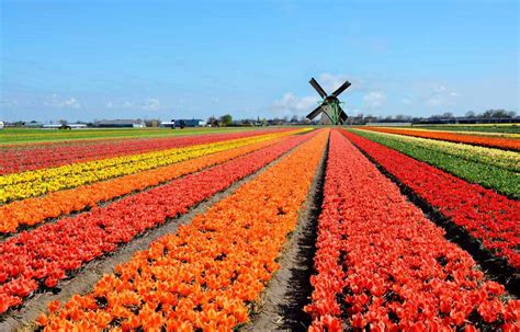 Nederland is the european section of the kingdom of the netherlands, which is formed by the netherlands, the netherlands antilles, and aruba. Waarom Nederland weer meer toeristen trekt - Zonspot