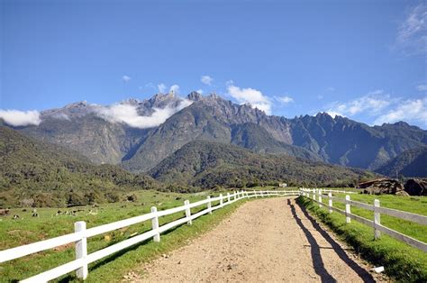 You can buy fresh milk at the souvenir shop (plain or chocolate), enjoy gorgeous. Desa Dairy Farm Kundasang Sabah | Tawau & Sabah ...