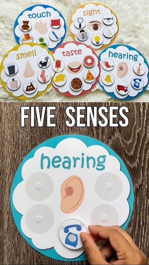 Five Senses Preschool Theme
