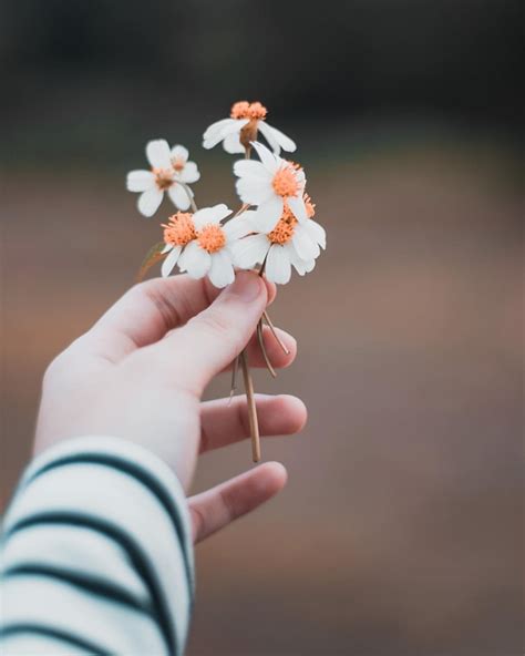 Hands Flower Photographer Photography Girl Çiçek Pembe noel