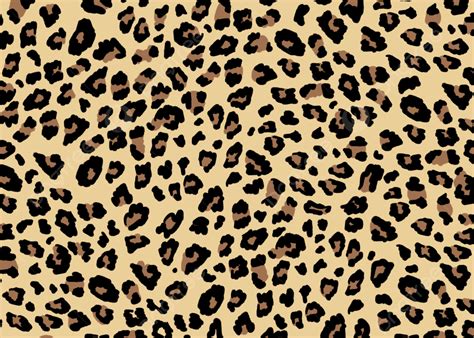 Animal Texture Spots Leopard Background Wallpaper Animal Spot