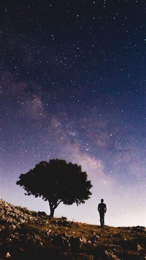 Download Wallpaper 1080x1920 Tree Starry Sky Night Silhouette