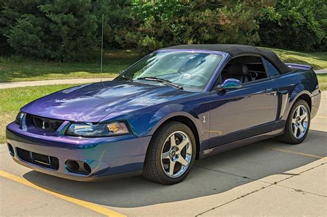 2004 Ford Mustang Svt Cobra Convertible For Sale Cars And Bids