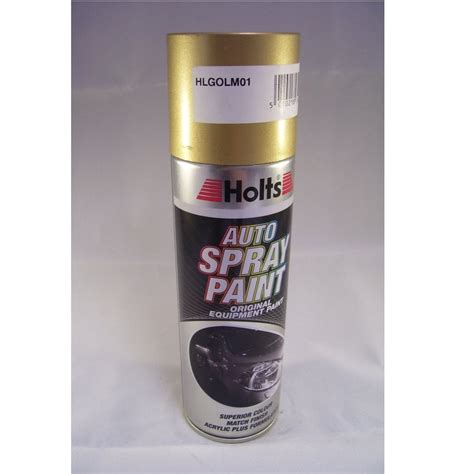 Hlgolm01 Holts Paint Match Pro Aerosol Gold Metallic