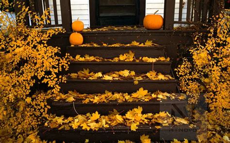 Download Pumpkin Season Tema Halloween Per Windows 10