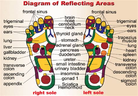 Traditional Chinese Medicine Feet Chart — Rosan Cruz Urban Energy Healer