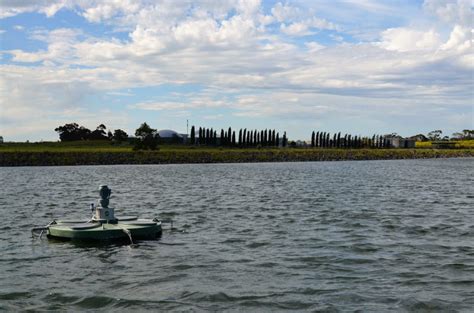 Developing yarra valley water's 2020 strategy. Yarra Valley Water Treatment Solution For Algal Outbreaks