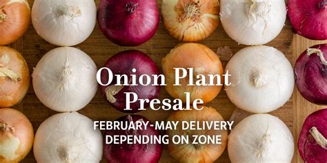 Annies Heirloom Seeds Hundreds Of Heirloom Organic And Nongmo