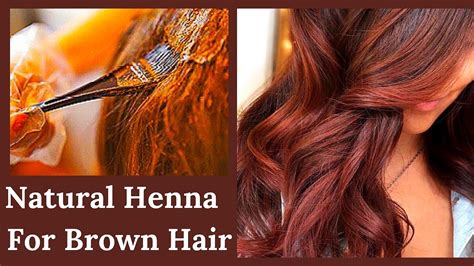 Turn White Hair Into Brown Hair Naturally Henna For Brown Hair