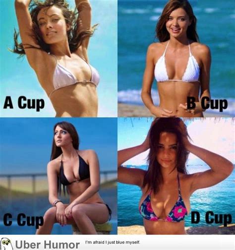 Cup Sizes With Examples Funny Pictures Quotes Pics Photos Images