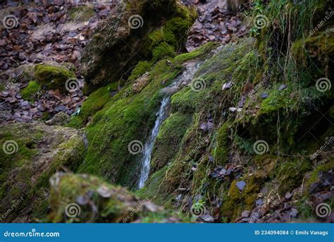 Sandy Rock Along Which Flows A Clear Forest Spring Water Forming A