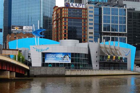 Melbourne Aquarium Underwater Space Hidden City Secrets