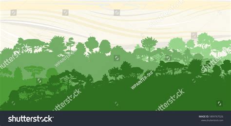 Deciduous Forest Silhouette Mature Spreading Trees Stock Illustration 1899767026