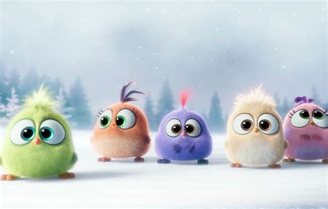 Wallpaper Winter Snow Mood Cartoon Birds Hatchlings Angry Birds