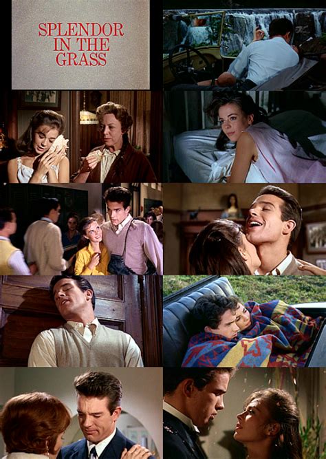 Natalie wood warren beatty pat hingle audrey christie barbara loden zohra lampert fred stewart gary lockwood sandy dennis joanna roos john mcgovern jan norris martine bartlett crystal field marla adams lynn loring phyllis diller sean garrison charles robinson william inge anne caprile 124 mins more details at imdb tmdb mariascrapbook | Splendour in the grass, Old movies, Classic movies