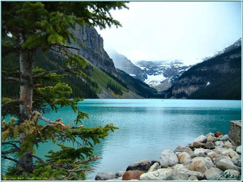 Lake Louise Banff National Park Canada Göller Seyahat Edilecek