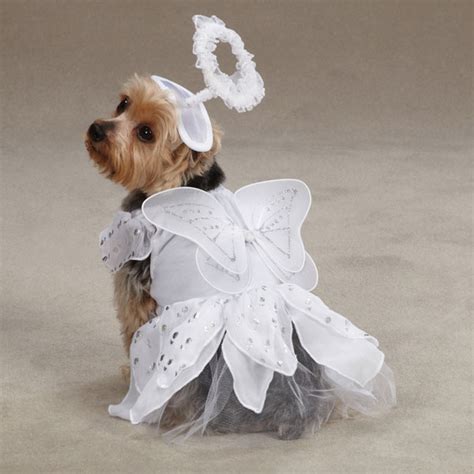 Angel Paws Halloween Dog Costume Baxterboo