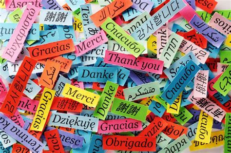 Benefits of Being Multilingual : Why teach Urdu or another language?