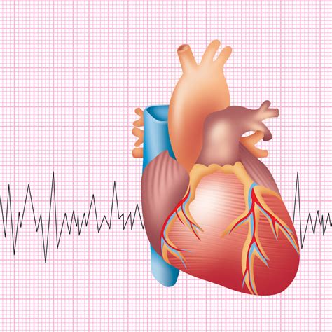 What Are The Early Signs Of Congestive Heart Failure Cardiac Screen