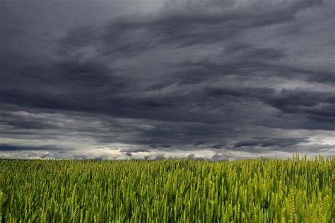White And Dark Cloud Over Green Grass Field · Free Stock Photo