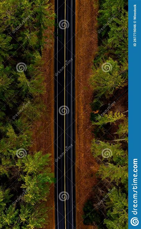 Aerial Vertical Symmetric View Of A Highway Road With Green Trees Stock