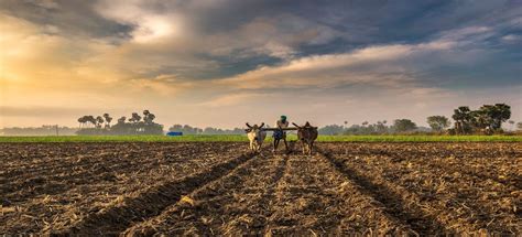 We provide platform, which aggregates a lot of free articles from various open access. Ancient Indian Economy Part II - Kṛṣiḥ (Agriculture) in ...