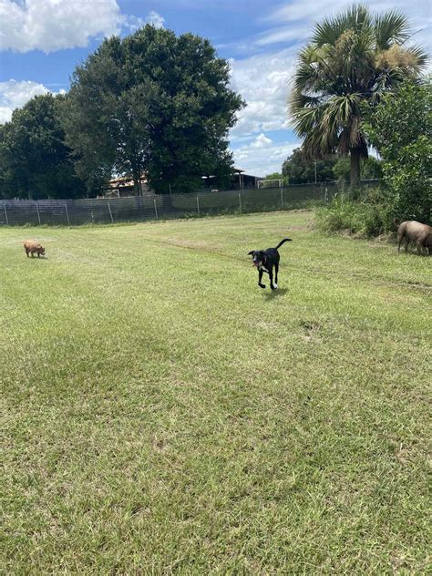 Stuart, Florida Dog Water Parks for Rent | Sniffspot