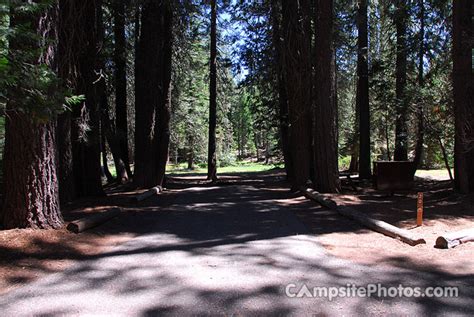 Lodgepole Tahoe Campsite Photos Camping Info And Reservations