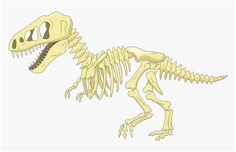 Maybe you would like to learn more about one of these? Bone Clip Art Fossil Transprent - Dinosaur Bones Clipart ...
