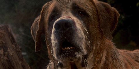 Cujo 10 Behind The Scenes Facts About The Vicious Stephen King Movie