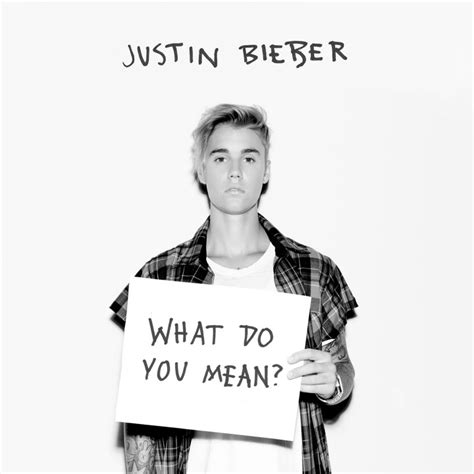 Justin Bieber Musik What Do You Mean
