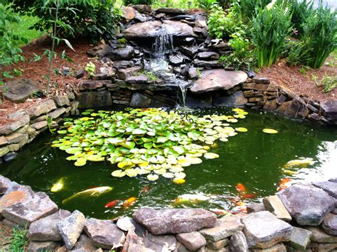 The terraces look like small steps along the side of the pond. How to Make a Beautiful Goldfish Pond | Dengarden