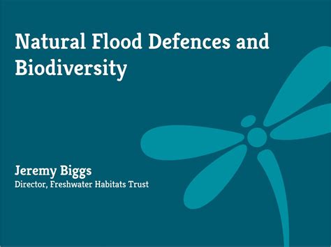 Natural Flood Defences And Biodiversity Freshwater Habitats