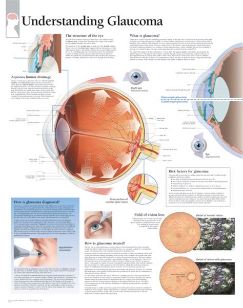 Understanding The Eye Flip Chart Scientific Publishing