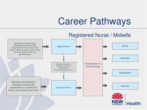 Ppt Nursing And Midwifery Office July 2011 Powerpoint Presentation Id