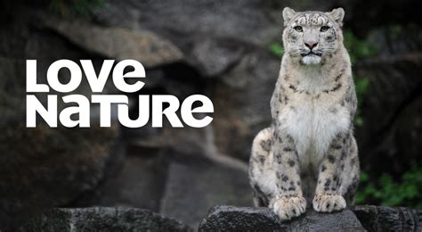 New Animal And Nature Streaming App Love Nature Launches