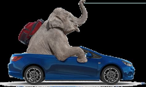 Elephant Insurance Quote Get A Quote With And Compare