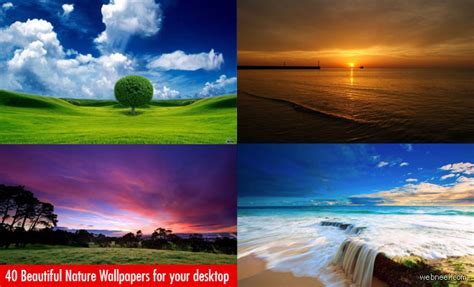 Design Inspiration 40 Beautiful Nature Themed Wallpapers For Your Desktop