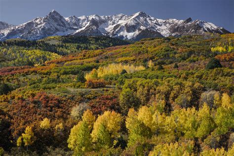The Best Places To See Fall Foliage In Colorado