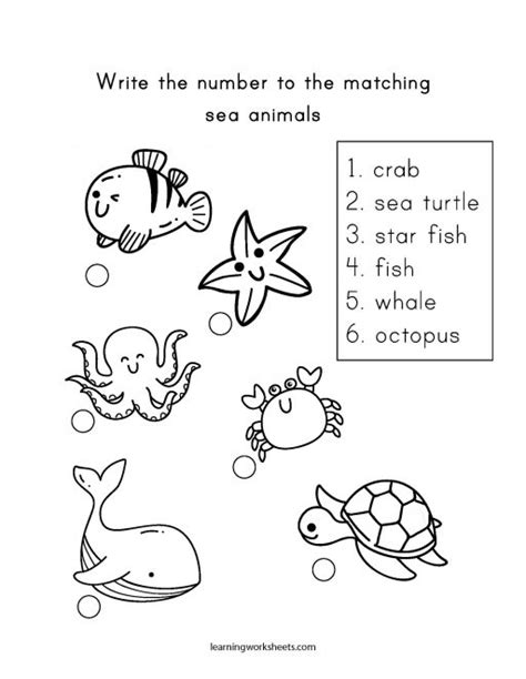 Write The Number To The Matching Sea Animals Learning Worksheets Sea