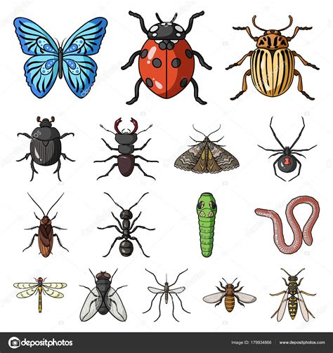 Different Kinds Of Insects Cartoon Icons In Set Collection For Design