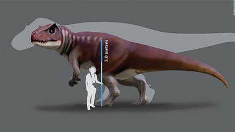 Huge Carnivorous Dinosaurs Lived In Australia Scientists Discover Cnn