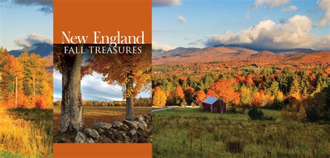 By the mid of february 2021, the price rose as high as $0.0808 but again fell down to $0.0517. 2021 New England Fall Treasures