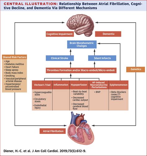 Atrial Fibrillation And Cognitive Function Jacc Review Topic Of The