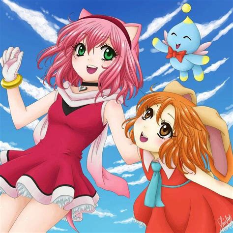 Image Result For Amy Rose Human Anime Anime Desenhos Do Sonic Fanart