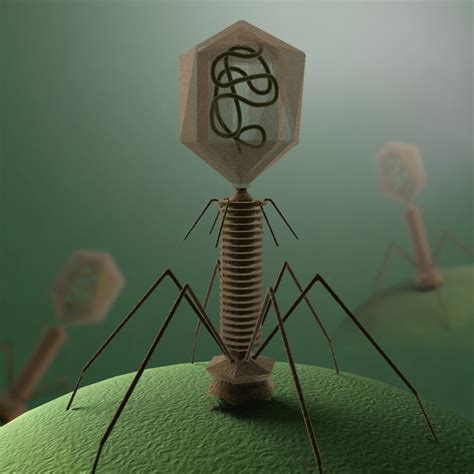 Pin En Science Project Viruses